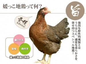 媛っこ地鶏